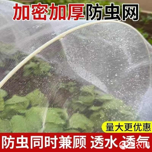 防蟲網在畜牧業中的卓越應用與價值，25年新貨工廠直銷搶先體驗